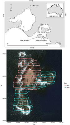 Looking Without Landing—Using Remote Piloted Aircraft to Monitor Fur Seal Populations Without Disturbance